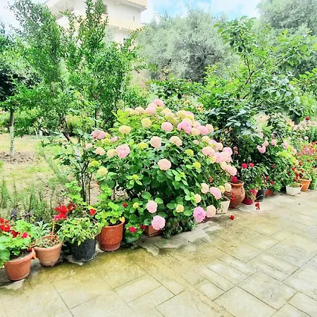 Me Qera Dublex Lungomare Apartment Vlorë